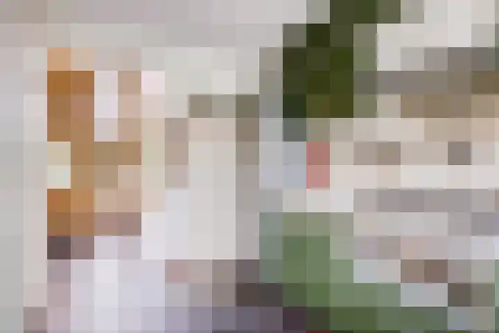 Berkenlaan 22 Velden thumbnail 11