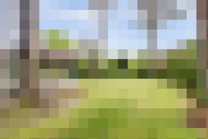 Berkenlaan 22 Velden thumbnail 22