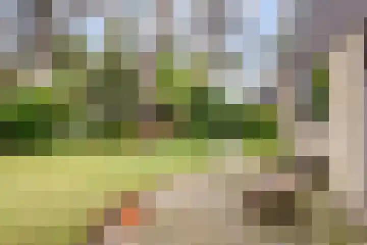 Berkenlaan 22 Velden thumbnail 23