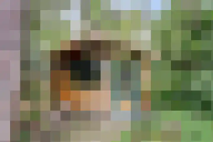 Berkenlaan 22 Velden thumbnail 24