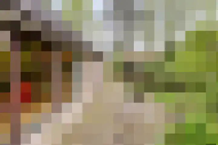 Berkenlaan 22 Velden thumbnail 26