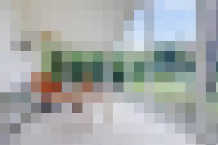 Berkenlaan 22 Velden thumbnail 5