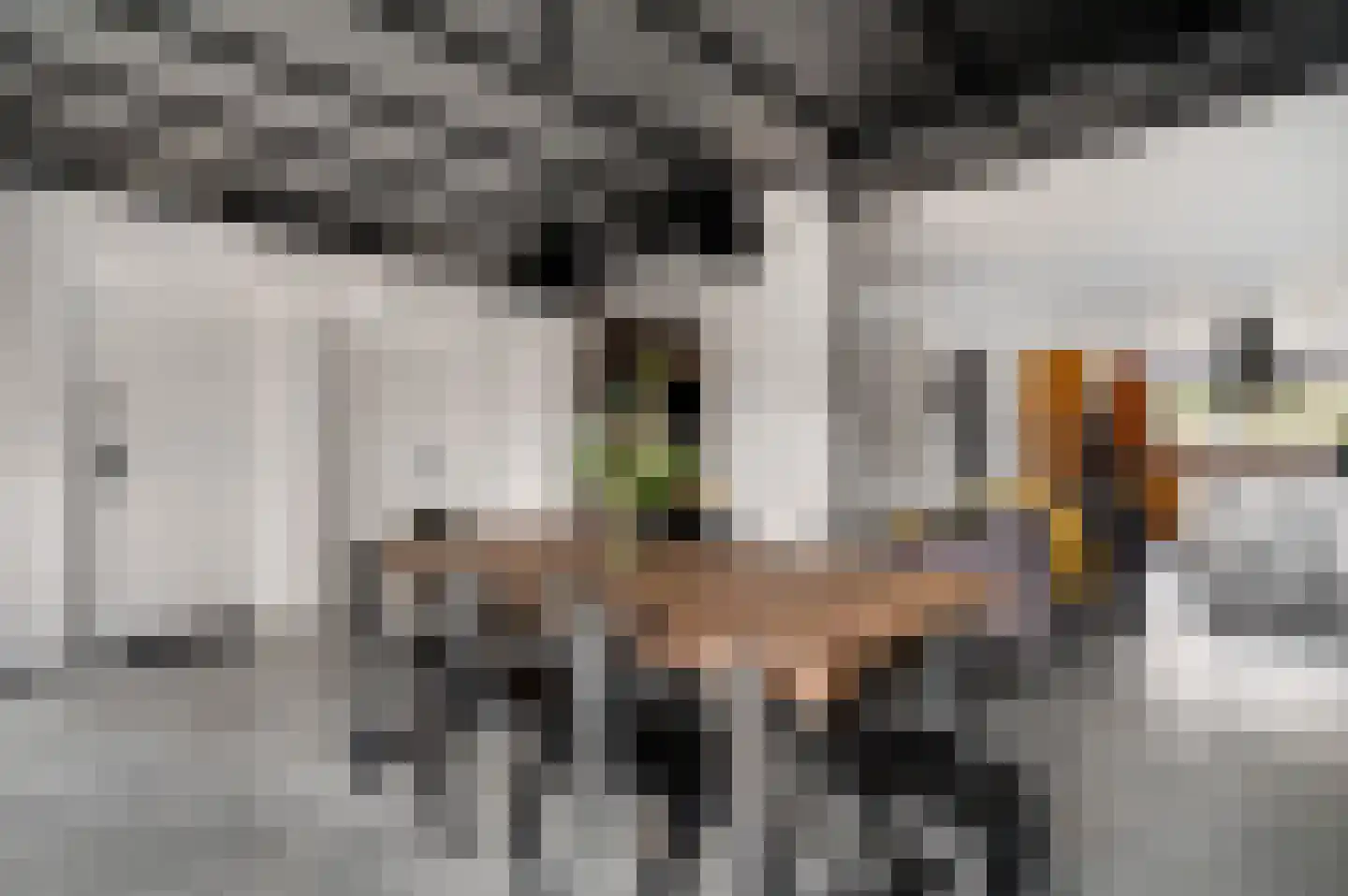 Berkenlaan 22 Vlodrop thumbnail 10