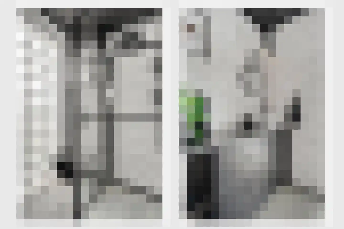 Berkenlaan 22 Vlodrop thumbnail 17