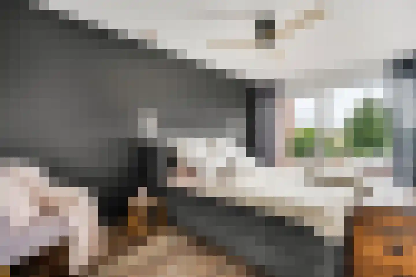 Berkenlaan 22 Vlodrop thumbnail 20