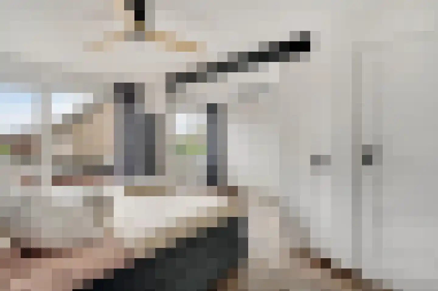 Berkenlaan 22 Vlodrop thumbnail 21