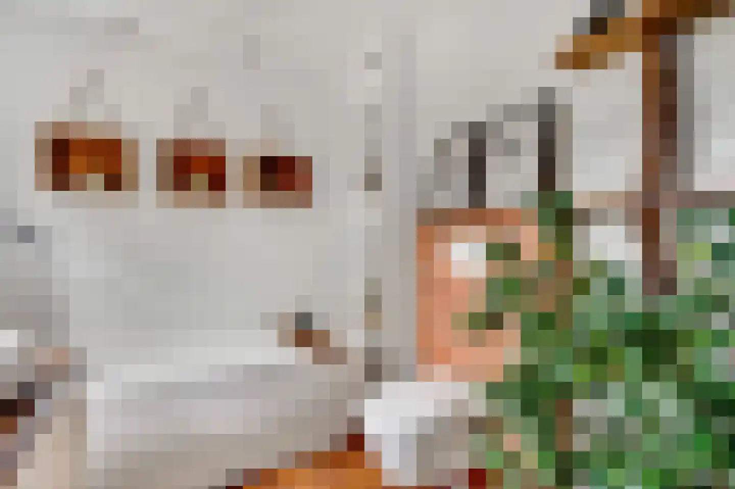 Berkenlaan 22 Vlodrop thumbnail 27