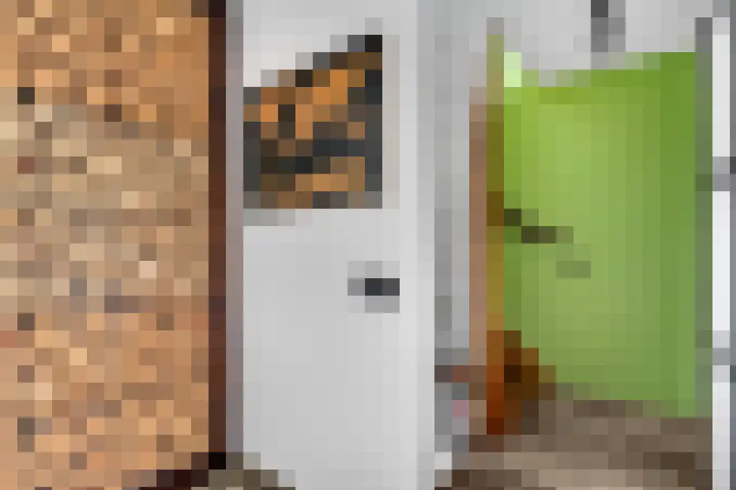 Berkenlaan 22 Vlodrop thumbnail 28