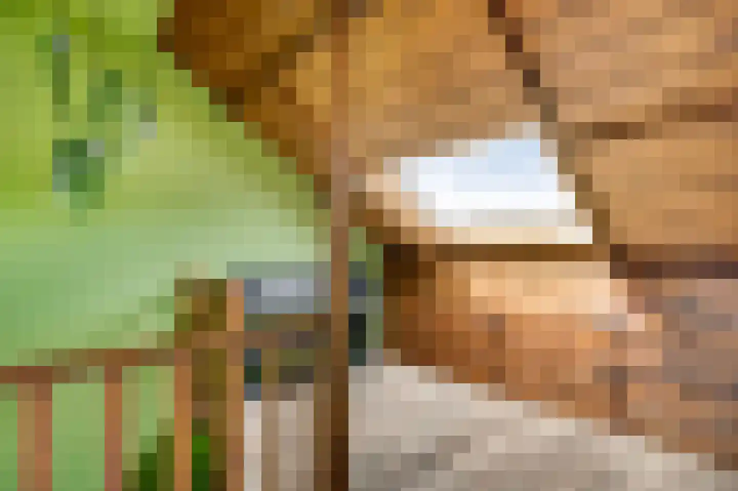 Berkenlaan 22 Vlodrop thumbnail 29