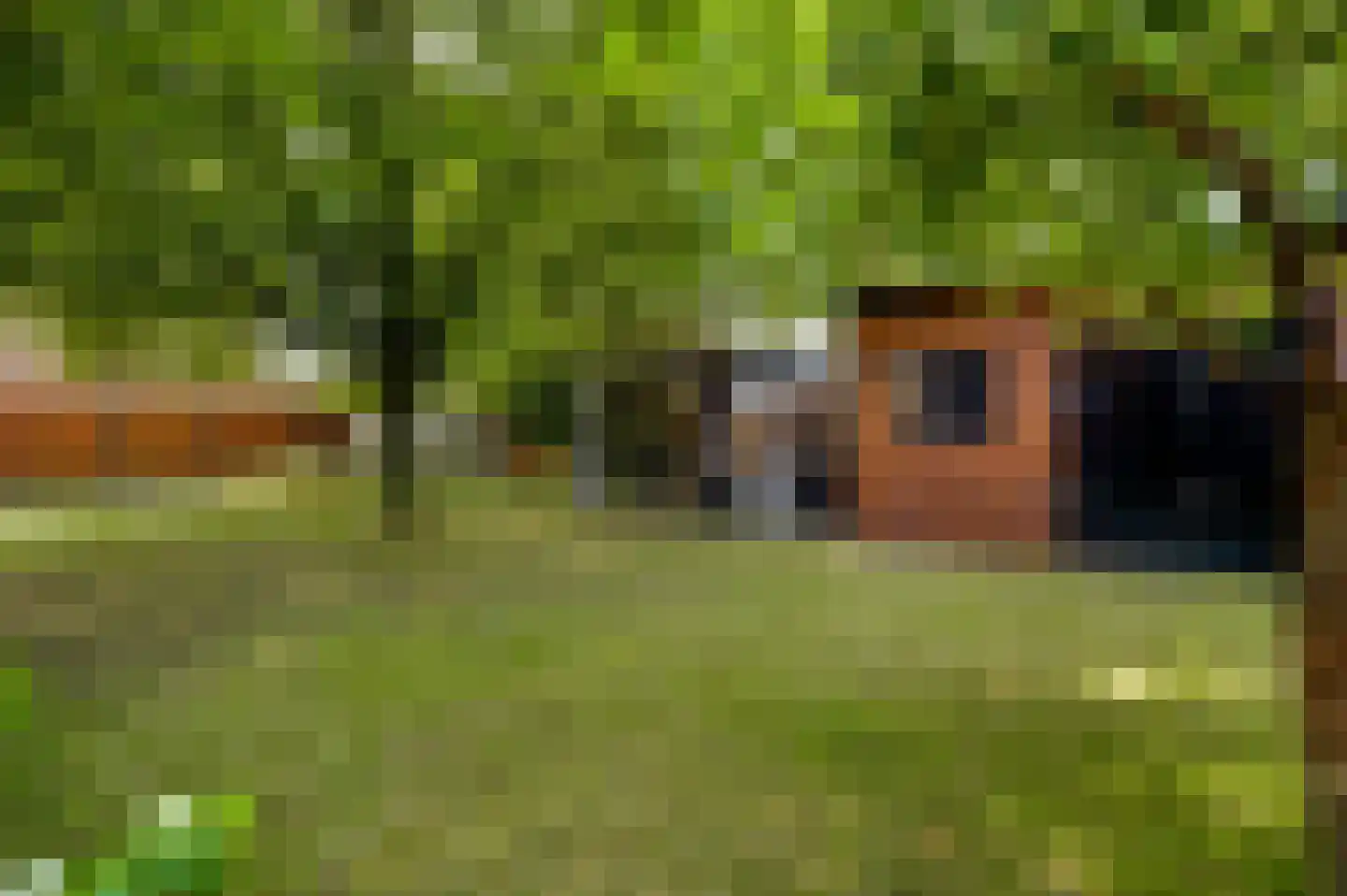 Berkenlaan 22 Vlodrop foto 3
