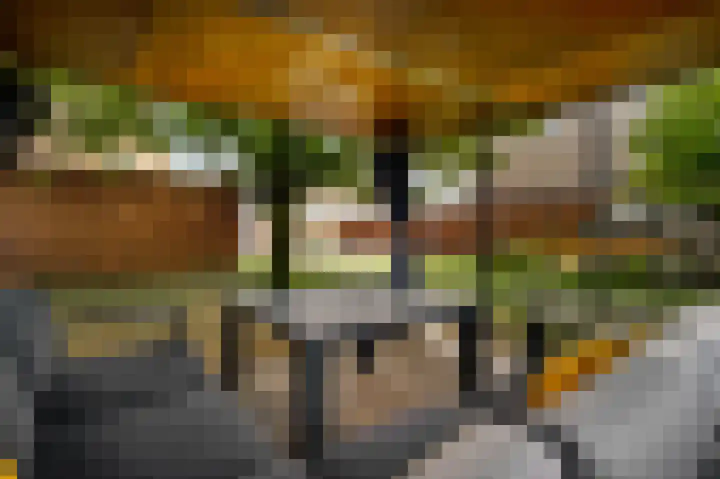 Berkenlaan 22 Vlodrop thumbnail 39
