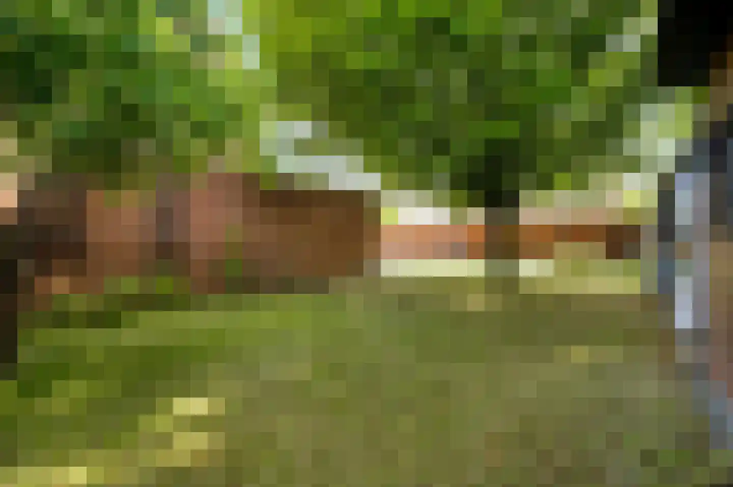 Berkenlaan 22 Vlodrop thumbnail 40