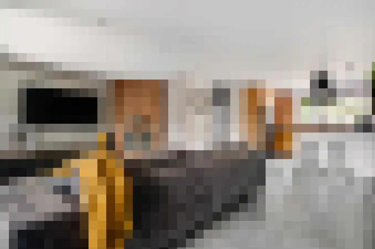 Berkenlaan 22 Vlodrop thumbnail 5