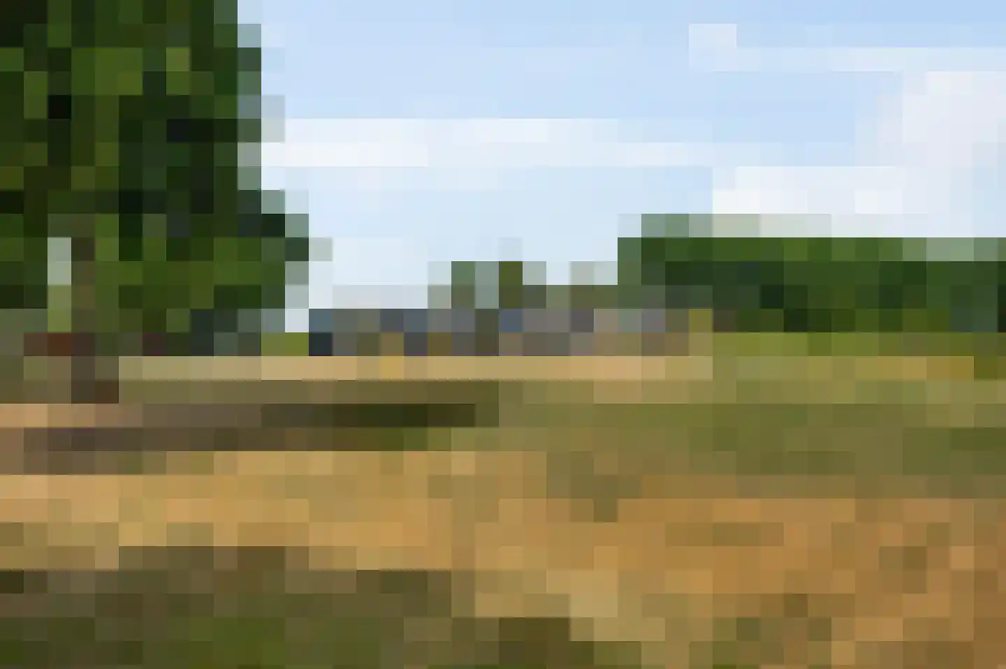 Berkenlaan 22 Vlodrop thumbnail 50