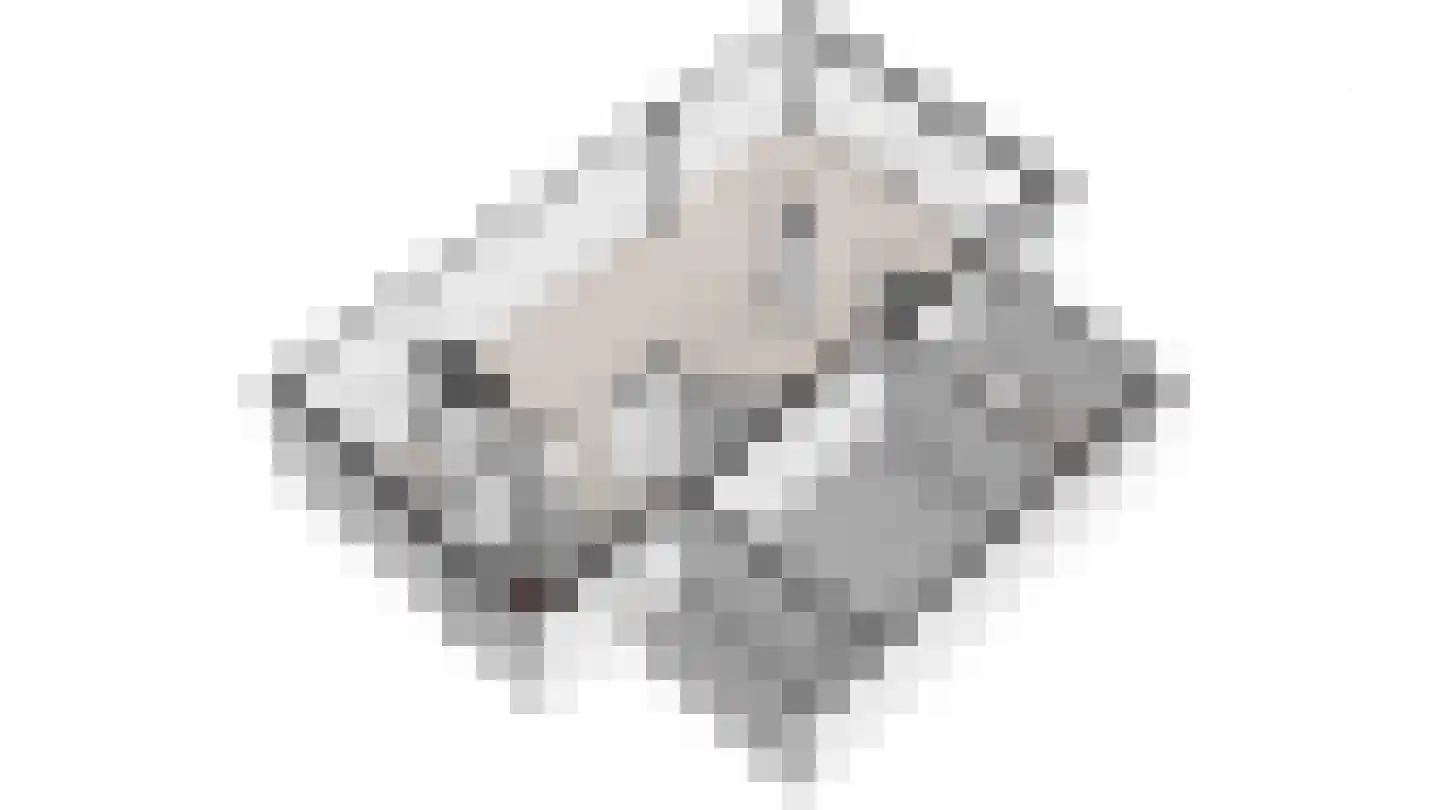 Berkenlaan 22 Vlodrop thumbnail 56