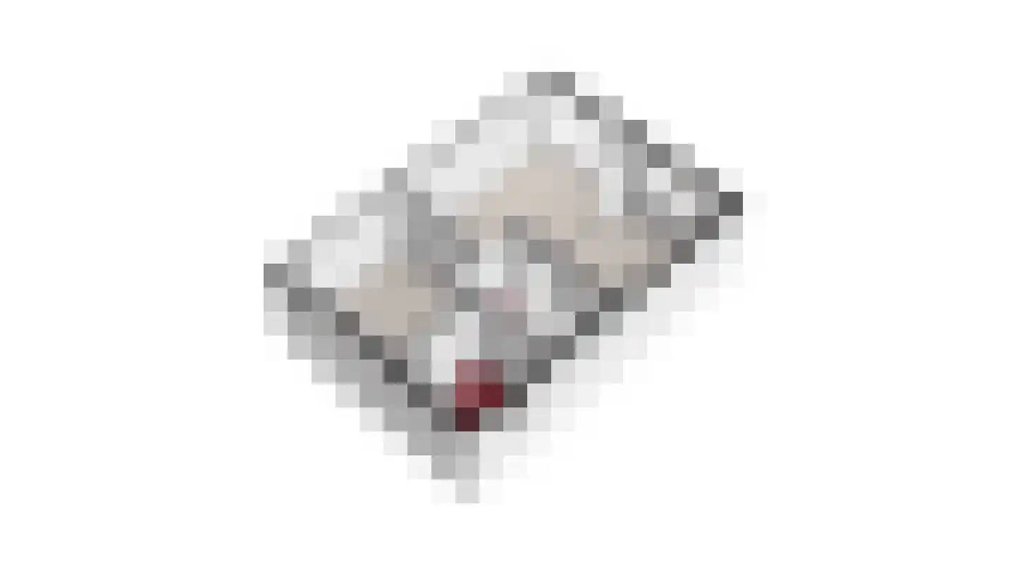 Berkenlaan 22 Vlodrop thumbnail 57