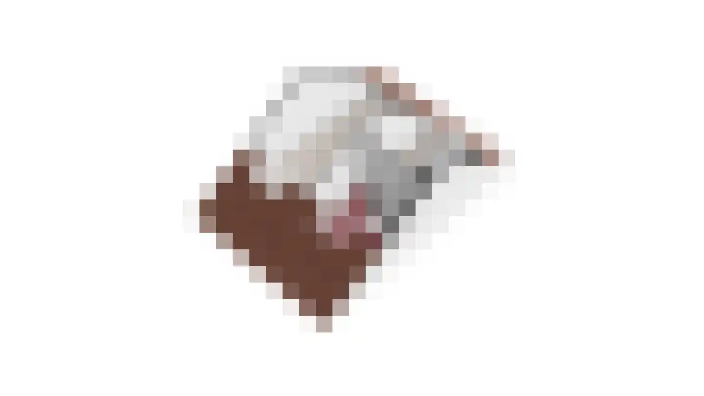 Berkenlaan 22 Vlodrop thumbnail 58