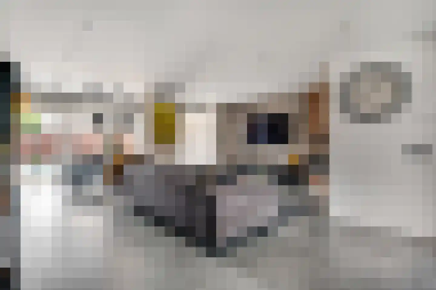 Berkenlaan 22 Vlodrop thumbnail 8