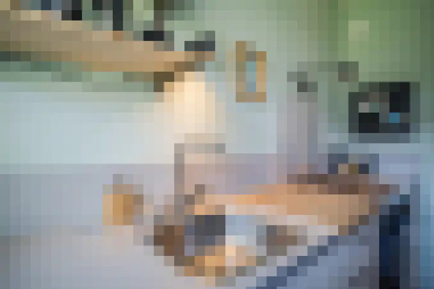 Berkenlaan 227 Zutphen thumbnail 10