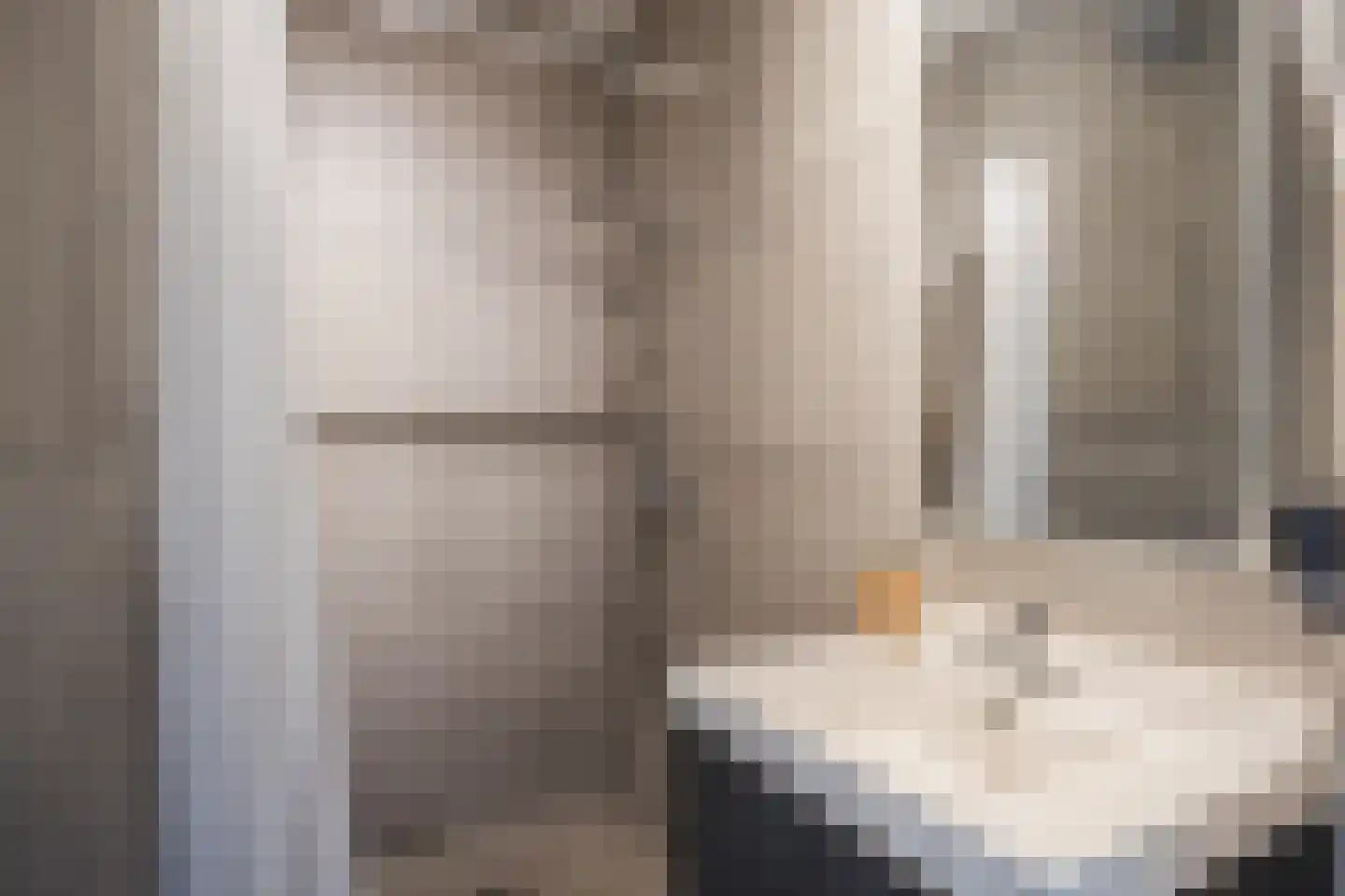 Berkenlaan 227 Zutphen thumbnail 12