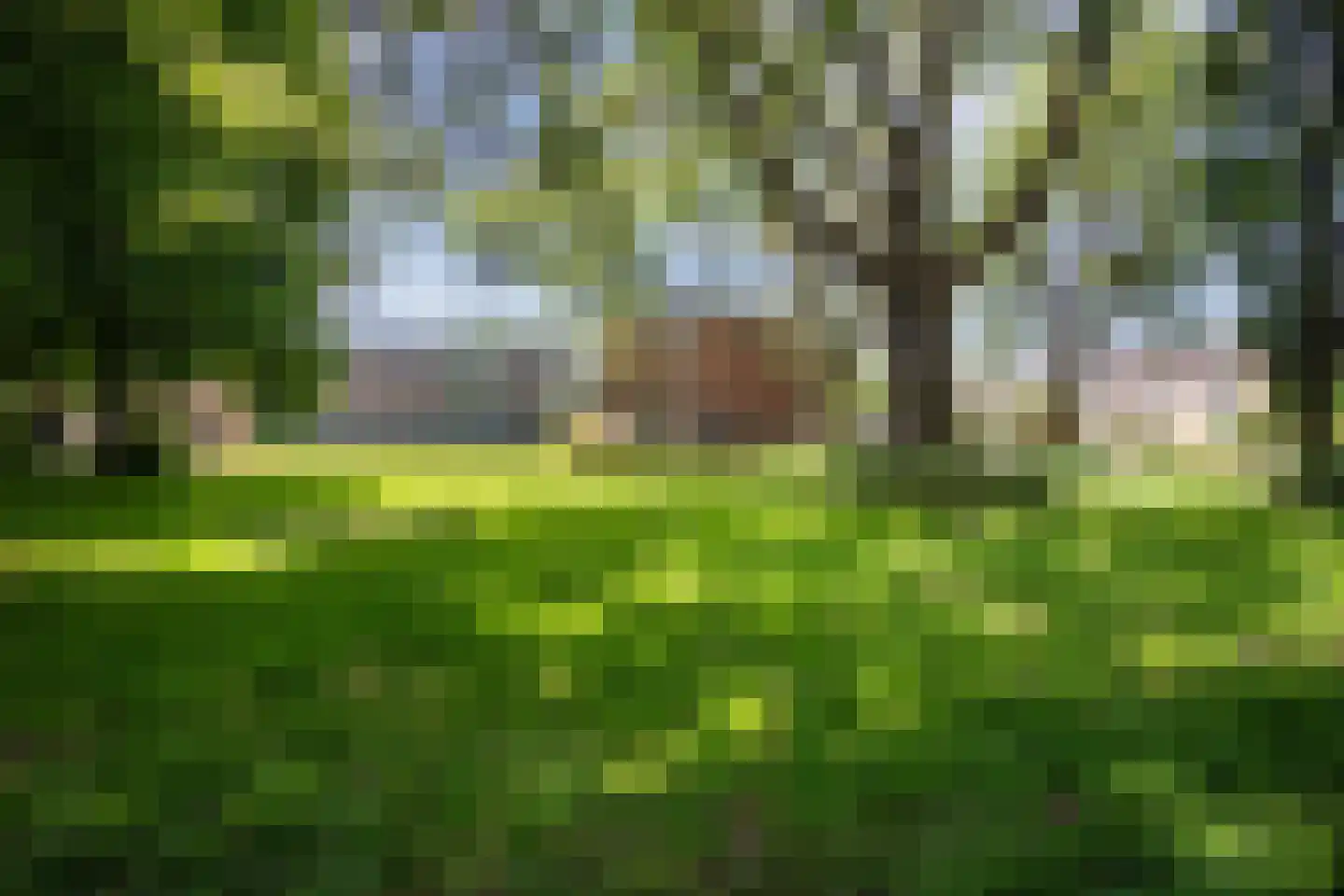 Berkenlaan 227 Zutphen thumbnail 33