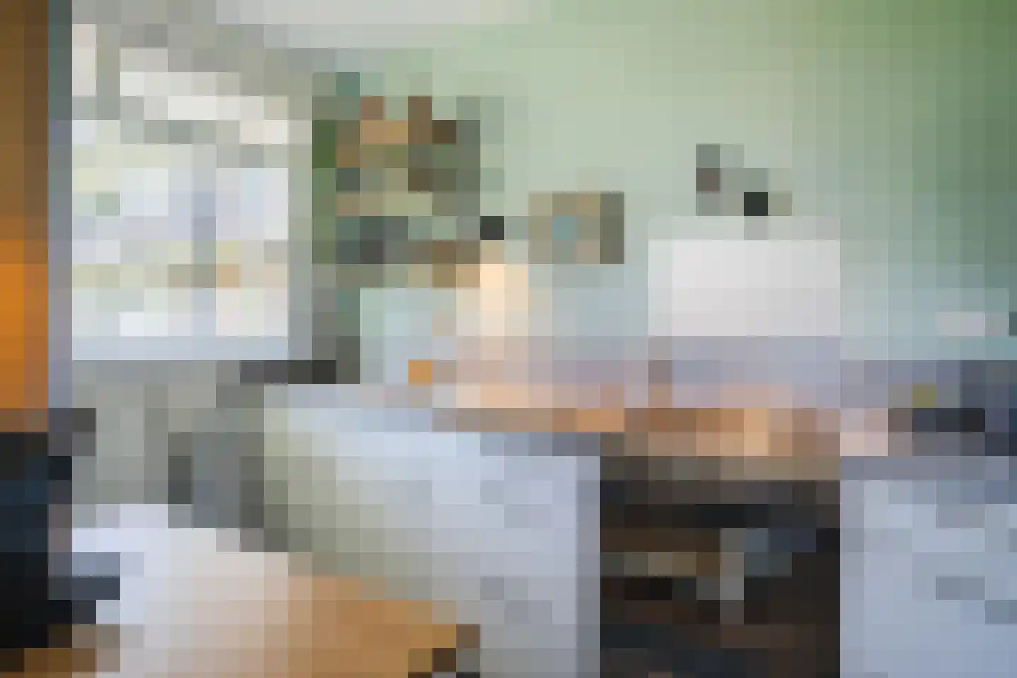 Berkenlaan 227 Zutphen thumbnail 6