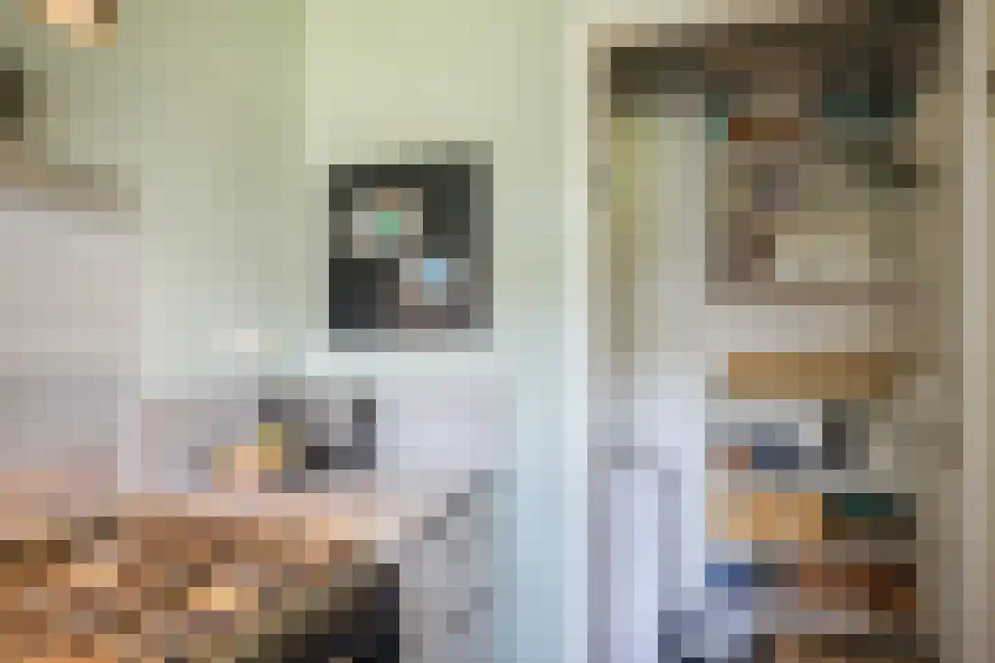 Berkenlaan 227 Zutphen thumbnail 8