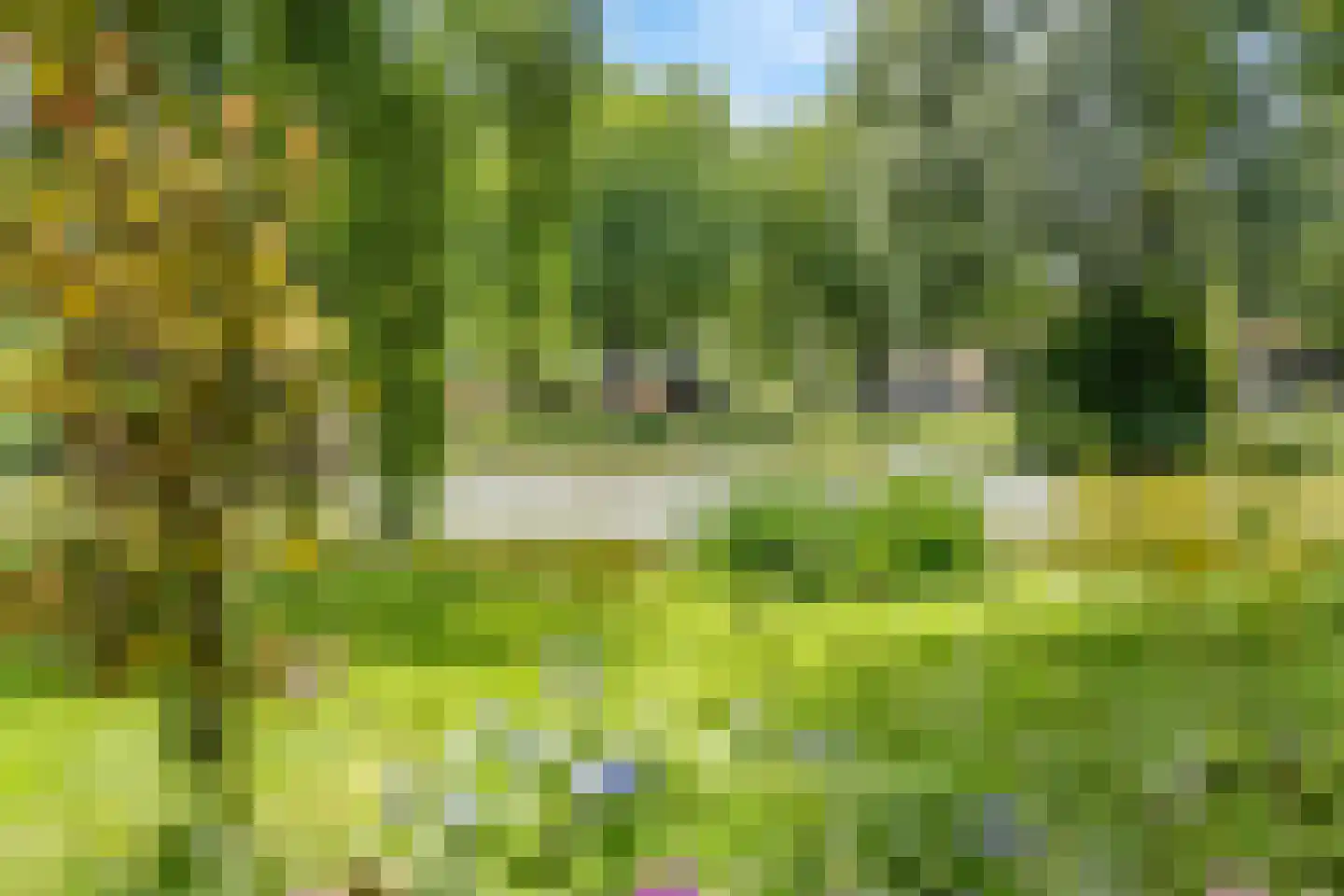 Berkenlaan 23 Hoogland thumbnail 46