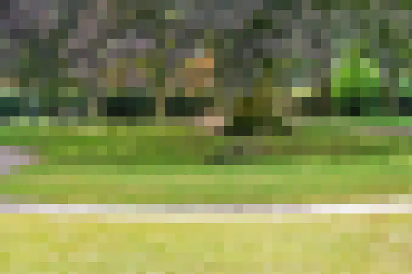 Berkenlaan 23 Hoogland thumbnail 47