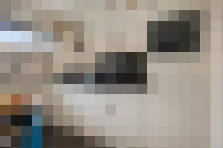 Berkenlaan 231 Zutphen thumbnail 14