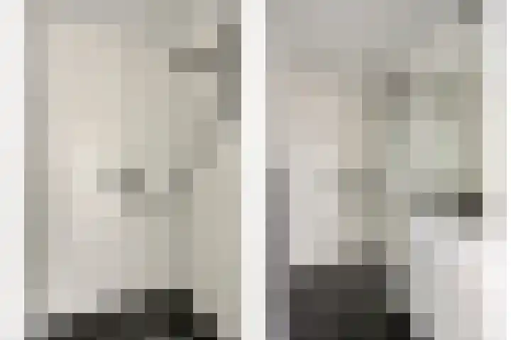 Berkenlaan 231 Zutphen thumbnail 22