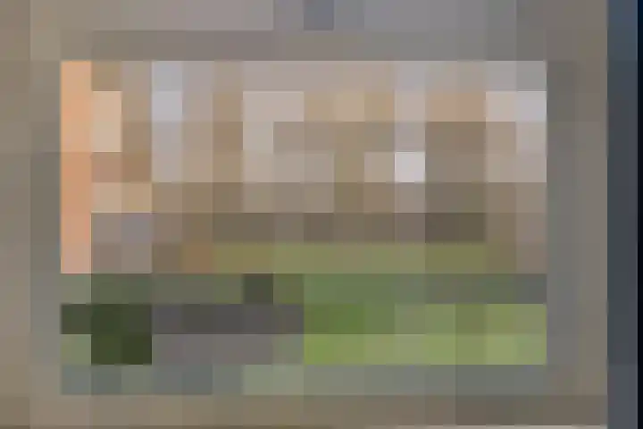 Berkenlaan 231 Zutphen thumbnail 25