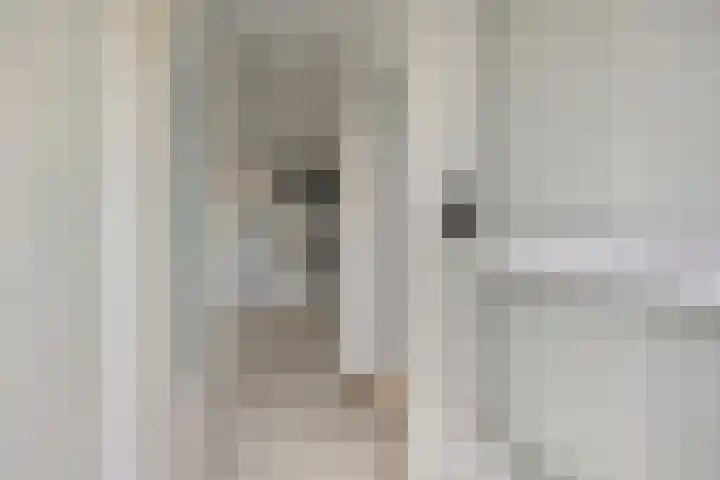 Berkenlaan 231 Zutphen thumbnail 26