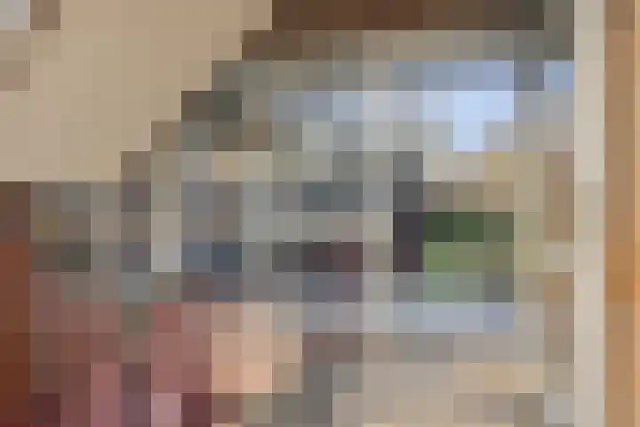 Berkenlaan 231 Zutphen thumbnail 29
