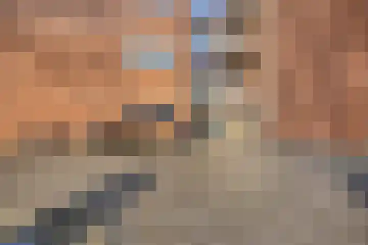 Berkenlaan 231 Zutphen thumbnail 30