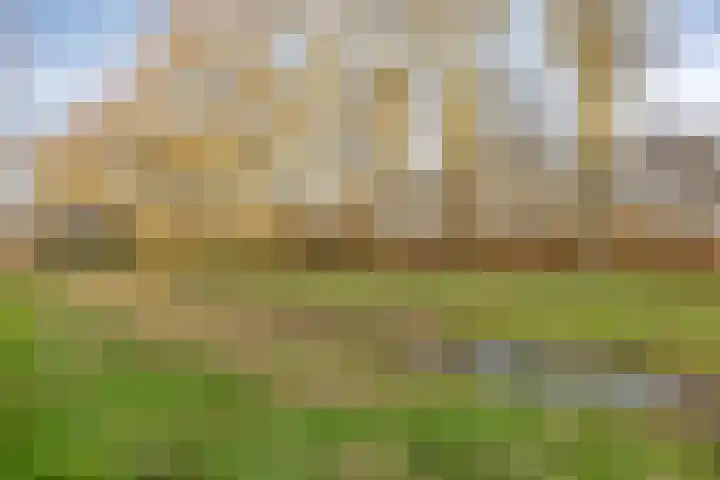 Berkenlaan 231 Zutphen thumbnail 33