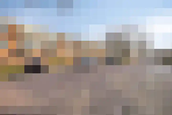Berkenlaan 231 Zutphen thumbnail 34