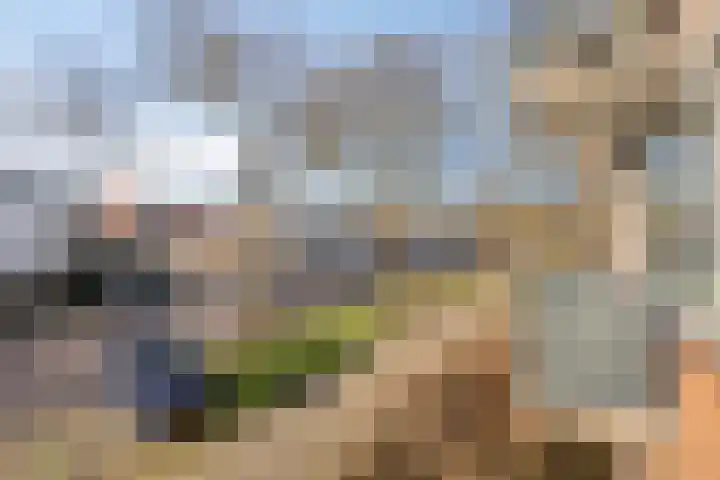 Berkenlaan 231 Zutphen thumbnail 8