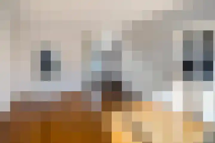Berkenlaan 24 Meeden foto 2
