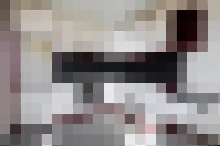 Berkenlaan 24 Meeden thumbnail 21