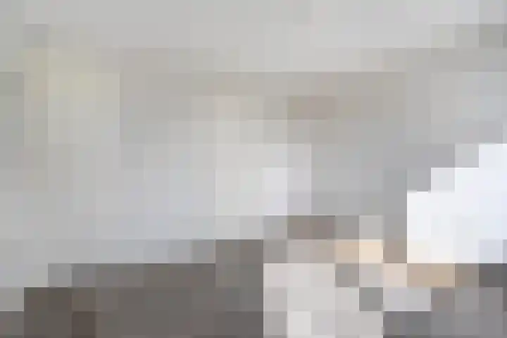 Berkenlaan 24 Meeden thumbnail 29