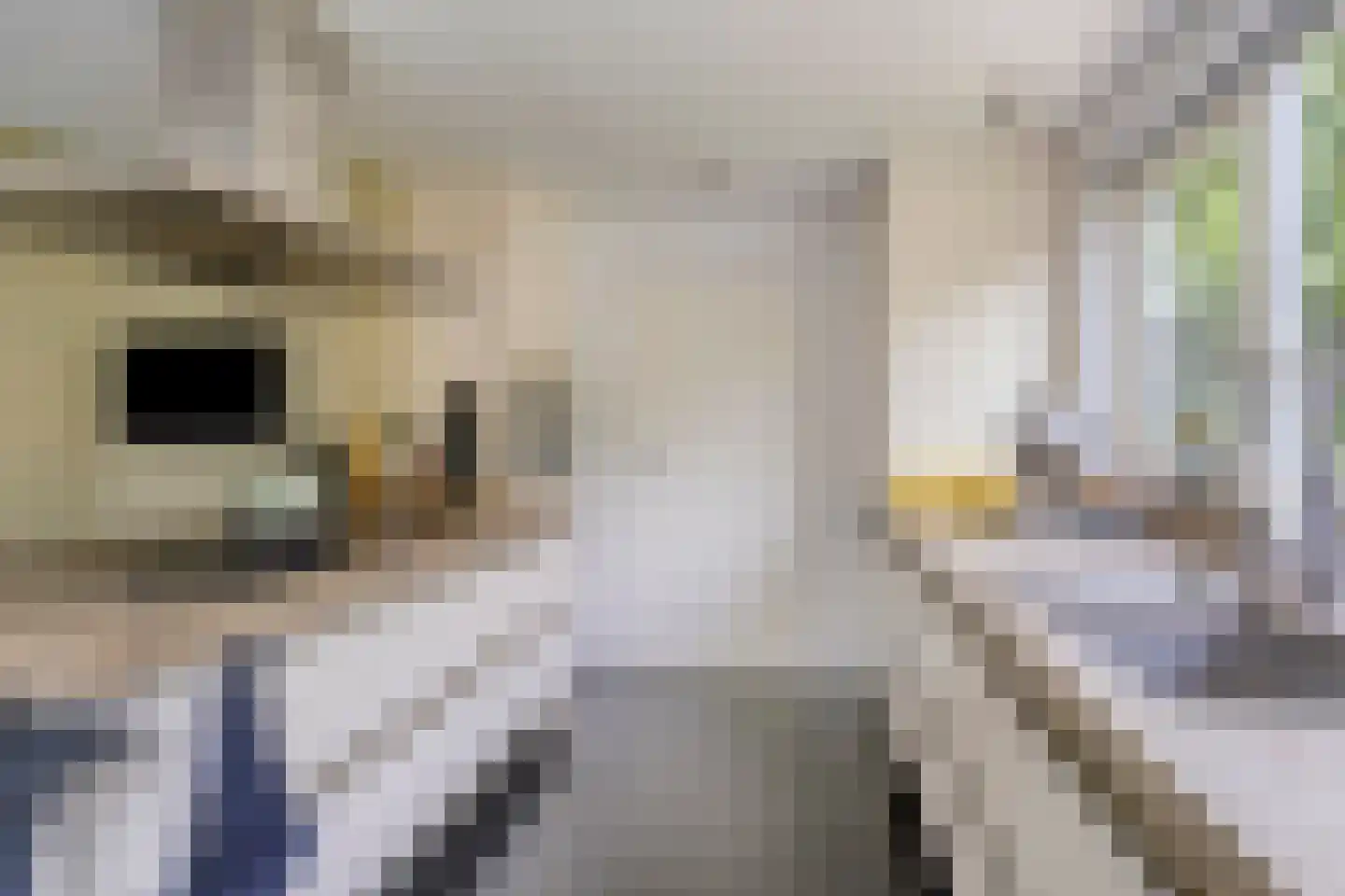 Berkenlaan 25 Barneveld thumbnail 19