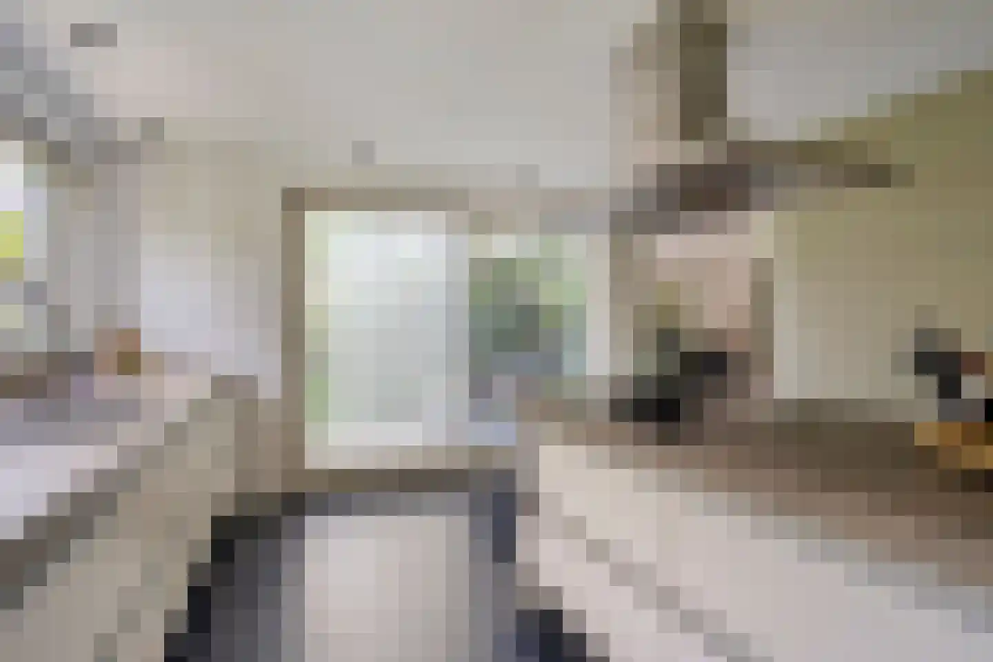 Berkenlaan 25 Barneveld thumbnail 20