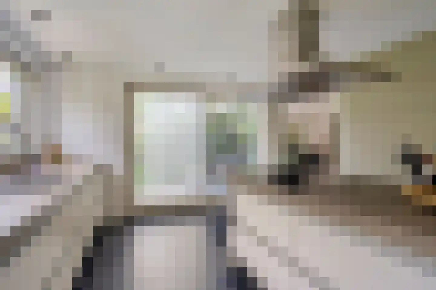 Berkenlaan 25 Barneveld thumbnail 20