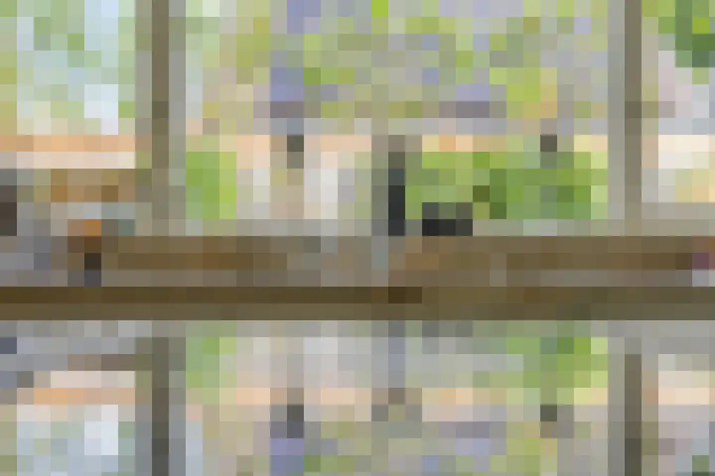Berkenlaan 25 Barneveld thumbnail 22