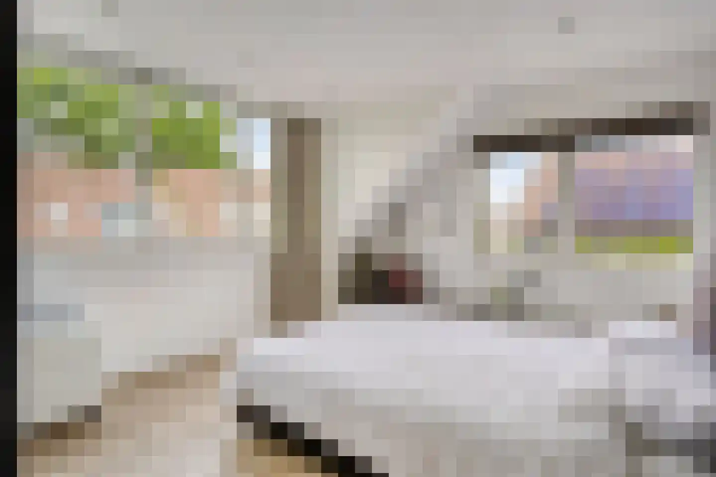 Berkenlaan 25 Barneveld thumbnail 28
