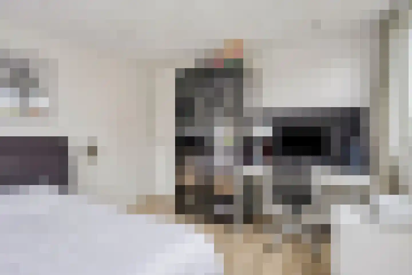 Berkenlaan 25 Barneveld thumbnail 29