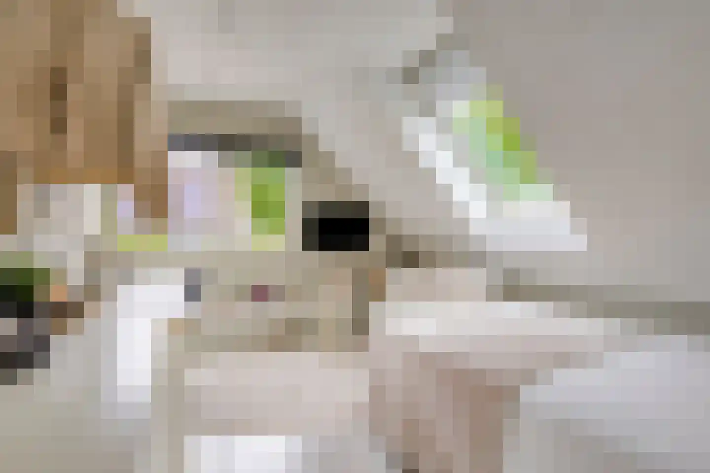 Berkenlaan 25 Barneveld thumbnail 30