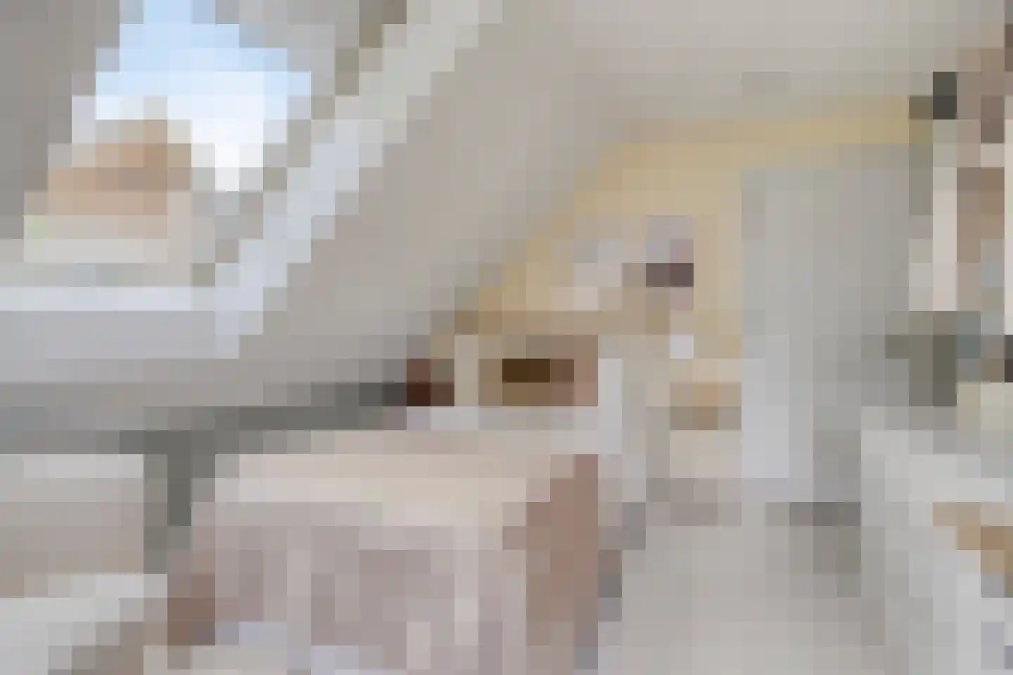 Berkenlaan 25 Barneveld thumbnail 31