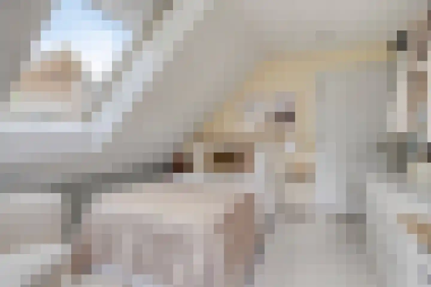 Berkenlaan 25 Barneveld thumbnail 31
